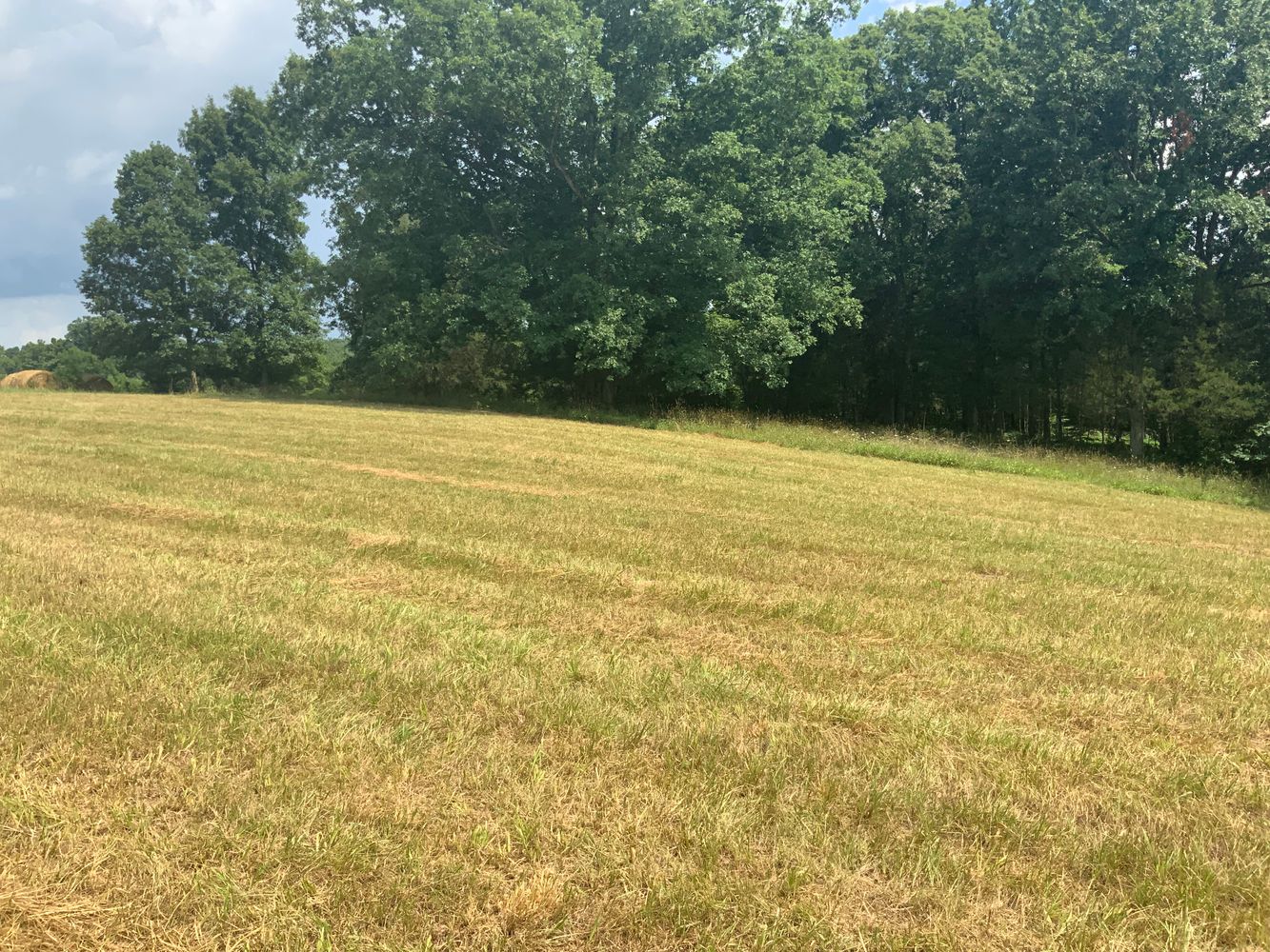 1915 Mount Zion Rd, Frankfort, KY 40601